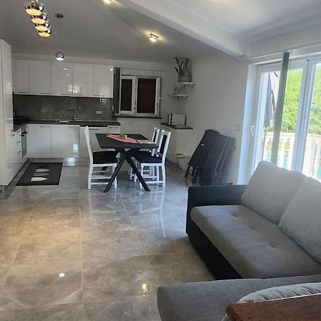 Apartmani Radmila Nova Vas  Zewnętrze zdjęcie